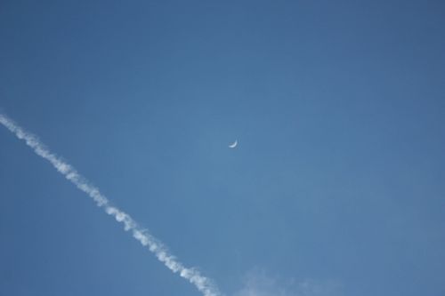 Ascolto Collettivo "Di nessun partito - con Marta Scelli" 