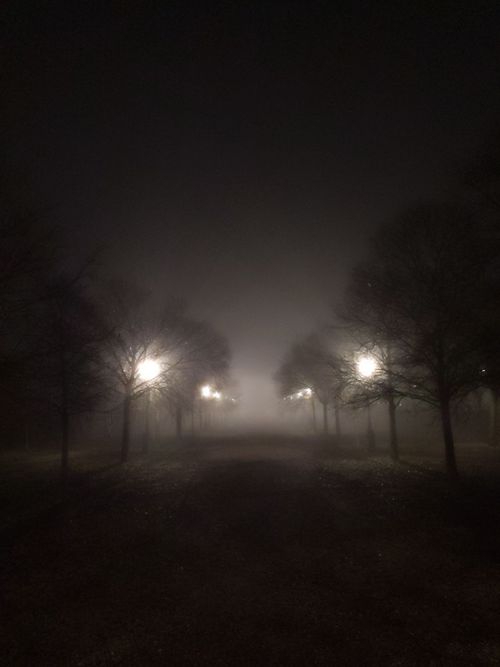 Assemblea di Gestione