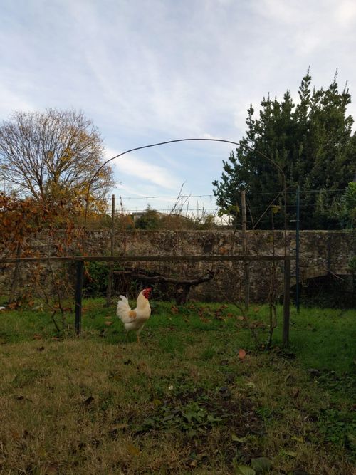 Prima Assemblea per l'Orto del Salotto Verde