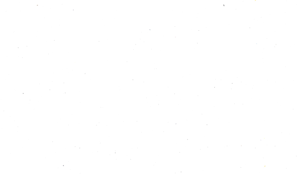 Incontro Gestione Giardino